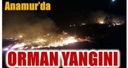 Anamur’da Orman Yangını
