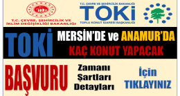 TOKİ KONUTLARINA BAŞVURU ZAMANI ; ŞARTLARI ve DETAYLARI …