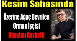 Üzerine Ağaç Devrilen Orman İşçisi Hayatını Kaybetti