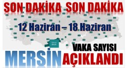 Sağlık Bakanlığı Vaka Sayılarını Açıkladı