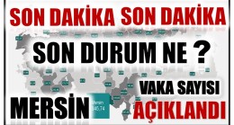 MERSİN’DE VAKA SAYISINDA BÜYÜK ARTIŞ