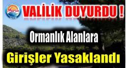 Valilik Duyurdu ! Ormanlara Girişler Yasaklandı