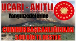 UCARI ve ANITLI YANGINZEDELERİNE CUMHURBAŞKANLIĞI DESTEĞİ