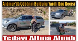 Anamur’da Çobanın Bulduğu Yaralı Dağ Keçisi Tedavi Altına Alındı