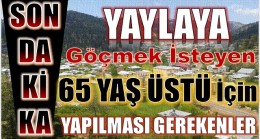 SOKAĞA ÇIKMA YASAĞI BULUNAN 65 YAŞ ÜZERİ için YAYLAYA GÖÇME İZNİ