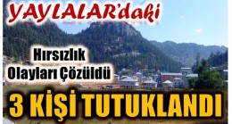 Yaylalardaki 23 Hırsızlık Olayı Aydınlatıldı, 3 Kişi Tutuklandı
