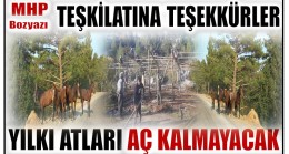 MHP’den YILKI ATLARINA BARINMA ve YEMLEME ALANI