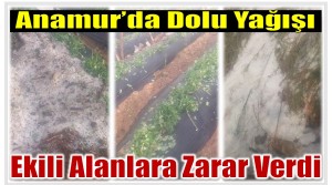 Anamur’da Dolu Etkili Oldu ; Ekili Alanlar Zarar Gördü