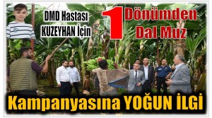 DMD Hastası KUZEYHAN için ; 1 Dönümden 1 Dal Muz Kampanyası