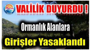 Ormanlara Giriş ve Çıkışlar 1 Haziran’dan İtibaren Yasaklandı