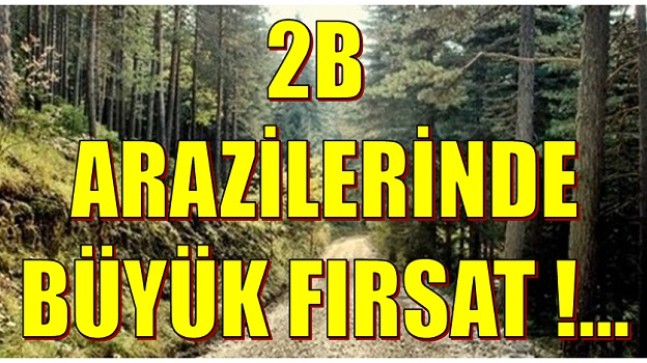 2B ‘ de BÜYÜK FIRSAT