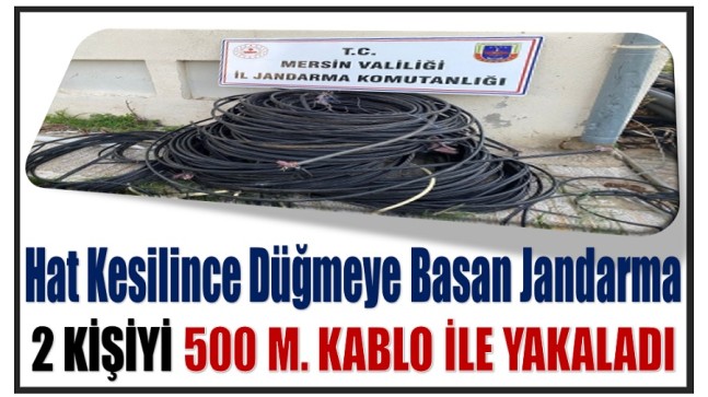 Dereköy’de Hat Kesilince Jandarma Harekete Geçti ; 2 Şüpheli Şahıs Yakalandı