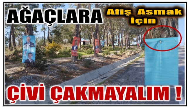 Seçim Bitecek ! Ya Ağaçlara Yapılan İşkence ?