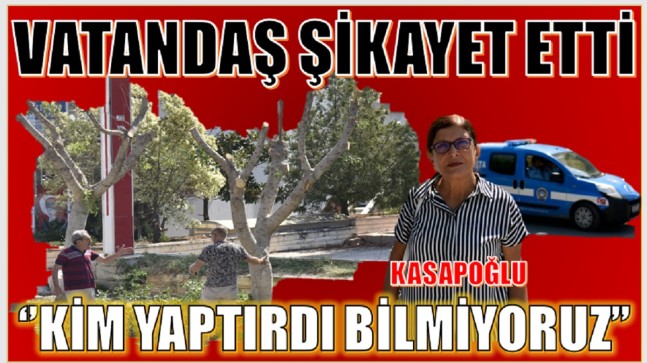 KASAPOĞLU “Biz Ağaç Kesmeye Karşıyız”