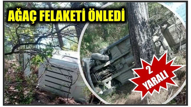 ÇAM AĞACI FELAKETİ ÖNLEDİ ; 2 Yaralı