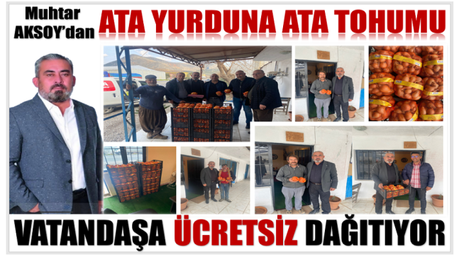Muhtar AKSOY’dan BEDAVA ATA TOHUMU