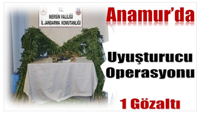 Jandarmadan Anamur’da Uyuşturucu Operasyonu