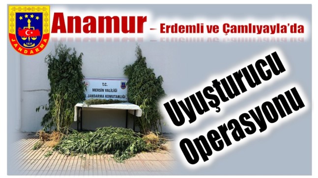 Jandarmadan Uyuşturucu Operasyonu ; 3 Şüpheli Gözaltına Alındı