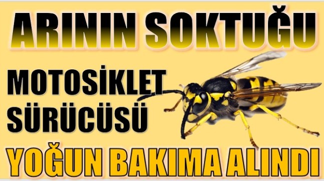 ARININ SOKTUĞU MOTOSİKLET SÜRÜCÜSÜ KOMAYA GİRDİ