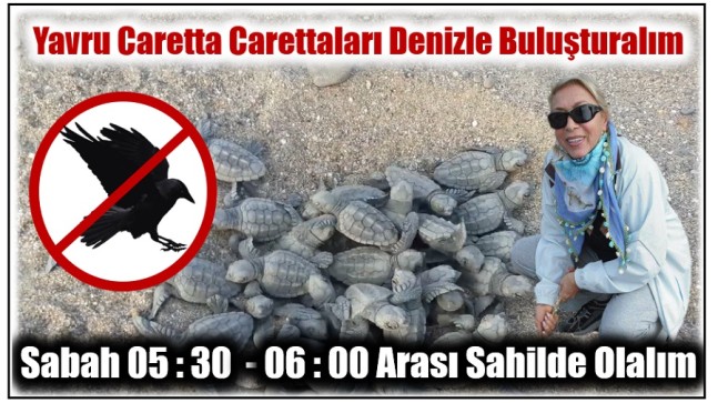 BELPINAR; “Sabah Erkenden Sahilde Olalım, Yavru Carettaları Denizle Buluşturalım”