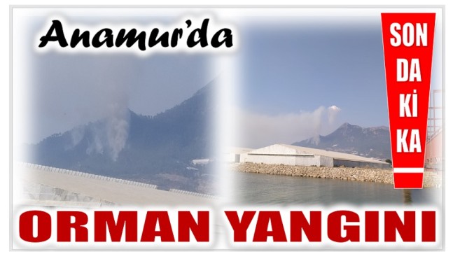 ANAMUR’DA ORMAN YANGINI ; HAVADAN ve KARADAN MÜDAHALE EDİLİYOR