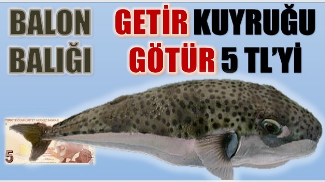 GETİR KUYRUĞU, GÖTÜR 5 TL’yi