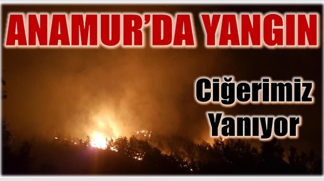 ANAMUR’DA ORMAN YANGINI