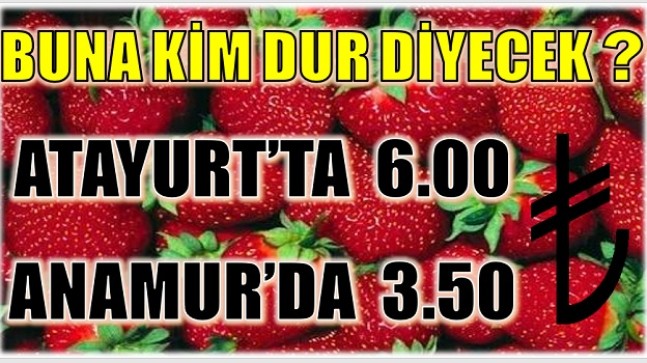 ÇİLEK, ANAMUR’DA  3.50 TL  ATAYURT’TA 6.00 TL