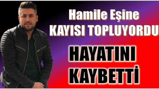 Hamile Eşine Kayısı Toplamak İstemişti,…