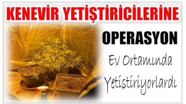 Ev Ortamında Uyuşturucu Yetiştiren Şahıslara  Operasyon