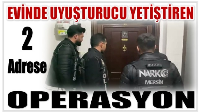 Evinde Esrar Yetiştiren 2 Ayrı Adrese Operasyon