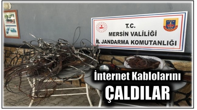 İnternet Kablolarını Çaldılar