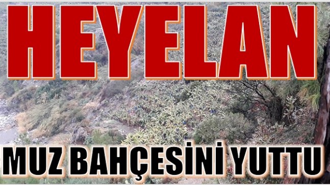 HEYELAN , MUZ BAHÇESİNİ YUTTU