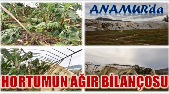 ANAMUR’DA,HORTUMUN AĞIR BİLANÇOSU