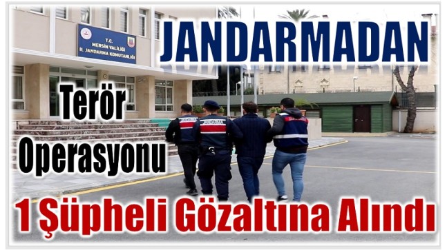 Jandarmadan Terör Operasyonu ; 1 Gözaltı