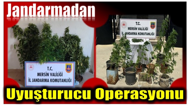 Jandarmadan Uyuşturucu Madde Operasyonu