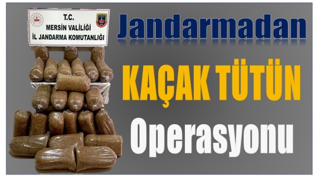 Jandarmadan Kaçak Tütün Operasyonu