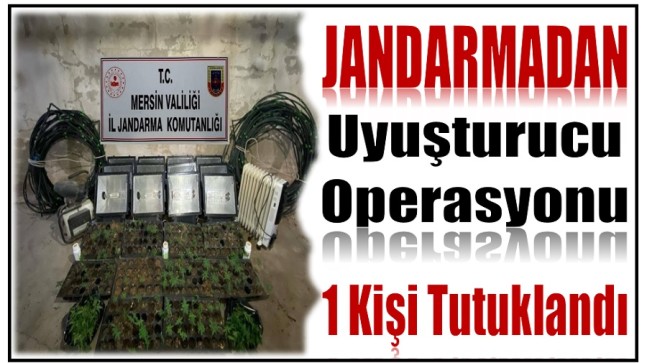 Jandarmadan Tavuk Çiftliğine Uyuşturucu Madde  Operasyonu