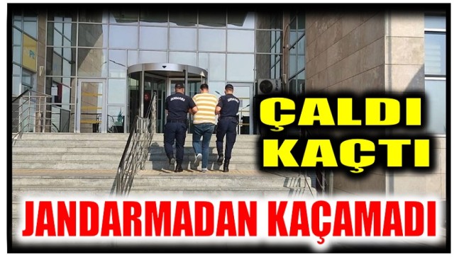 Motosiklet Hırsızı Jandarmadan Kaçamadı