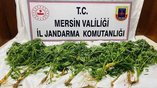 UYUŞTURUCU OPERASYONUNDA, 3’ü Anamur’dan 8 Şüpheli Şahıs Gözaltına Alındı