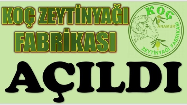 KOÇ ZEYTİNYAĞI FABRİKASI AÇILDI