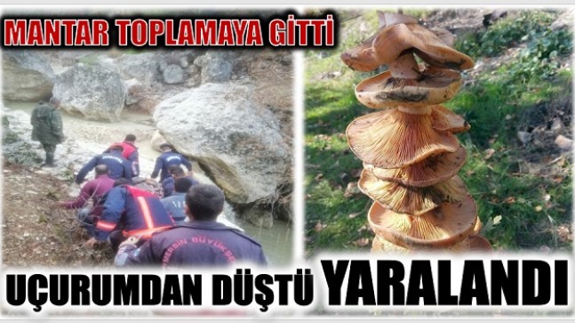 MANTAR TOPLAMAYA GİTTİ ; UÇURUMDAN DÜŞEREK YARALANDI