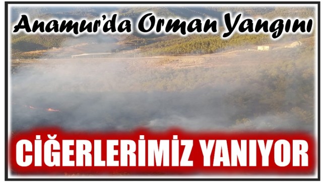 Anamur’da Orman Yangını