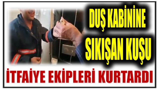 Kabine Sıkışan Kuşu İtfaiye Kurtardı