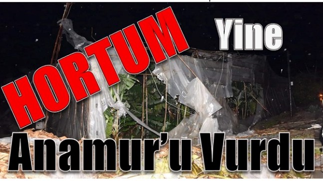 Yine HORTUM, Yine ANAMUR