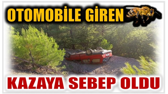 Anamur’da Otomobile Giren Arı Kazaya Sebep Oldu