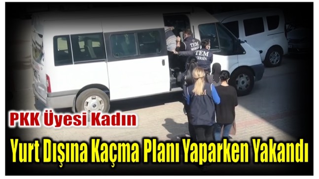 PKK Üyesi Kadın,Yurt Dışına Kaçma Planı Yaparken Yakalandı