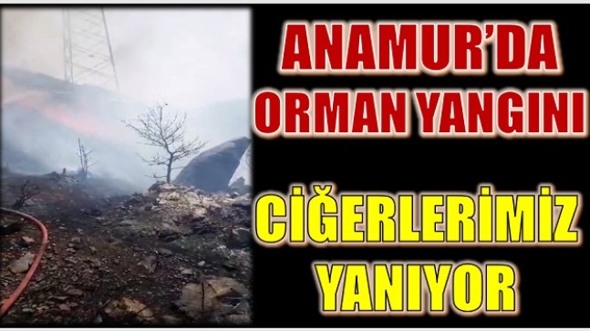 ANAMUR’DA CİĞERLERİMİZ YANIYOR