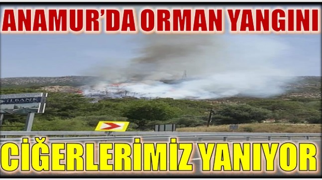 ANAMUR’DA ORMAN YANGINI