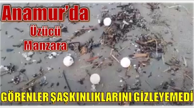 SAHİLE İNEN VATANDAŞLAR ŞAŞKINLIĞINI GİZLEYEMEDİ